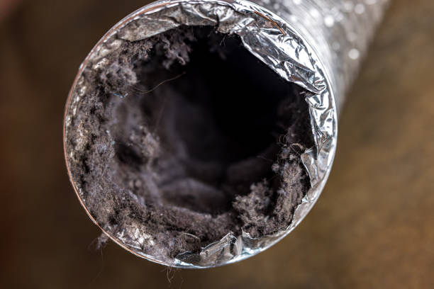 Best Ductwork Cleaning Services  in Temelec, CA