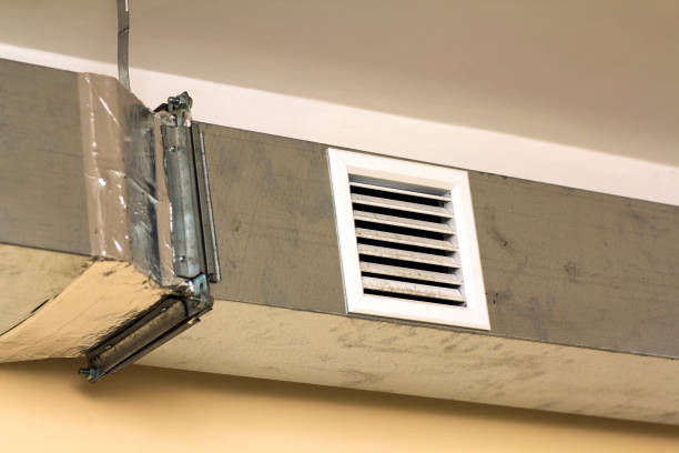 Best Professional Duct Cleaning Services  in Temelec, CA